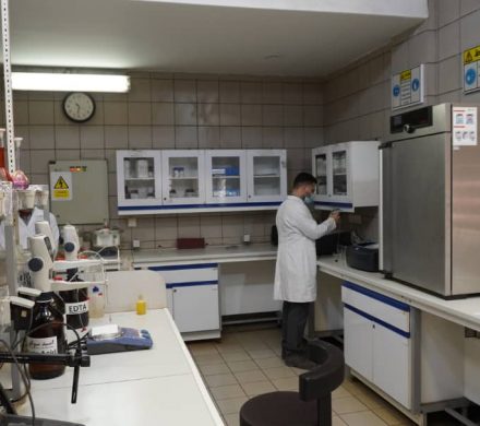 🔹استقرار تخصصی ترین استاندارد سیستم آزمایشگاهی در شرکت توسعه آهن و فولاد گل گهر