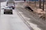 دستگیری راننده و عامل مخاطره آمیز شهروندان و برخورد با اتوبوس در محور سیرجان _شیراز