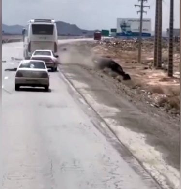 دستگیری راننده و عامل مخاطره آمیز شهروندان و برخورد با اتوبوس در محور سیرجان _شیراز