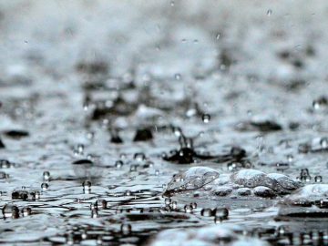 بارش ۱۷ میلی‌متری باران در بلورد سیرجان