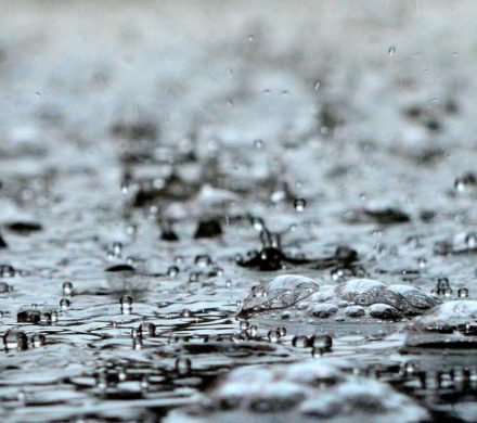 بارش ۱۷ میلی‌متری باران در بلورد سیرجان