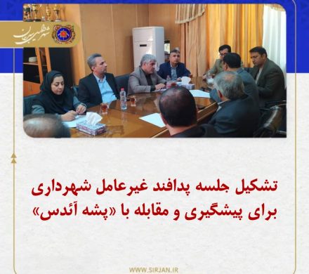 تشکیل جلسه پدافند غیرعامل شهرداری برای پیشگیری و مقابله با «پشه آئدس»