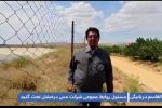 طبیعت زیبای بهار چهارگنبد را ببینید و لذت ببرید