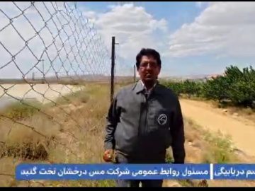 طبیعت زیبای بهار چهارگنبد را ببینید و لذت ببرید