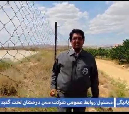 طبیعت زیبای بهار چهارگنبد را ببینید و لذت ببرید