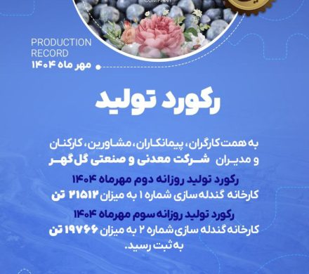 رکوردهای تولیدی روزانه مهرماه ۱۴۰۴ در شرکت معدنی و صنعتی گل گهر