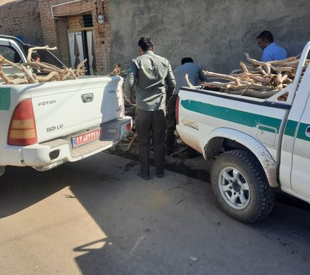 قاچاقچیان چوب تاغ گرفتار در دام قانون