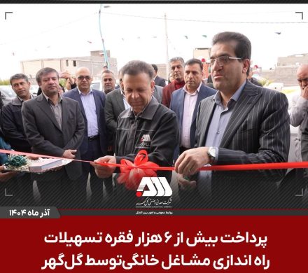 پرداخت بیش از ۶ هزار فقره تسهیلات راه اندازی مشاغل خانگی توسط شرکت گل گهر